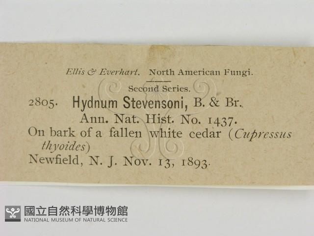 登錄號:F0011597藏品圖，第2張