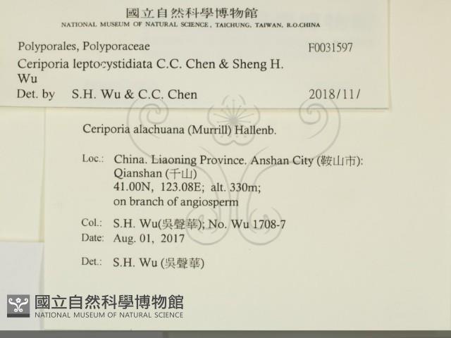 登錄號:F0031597藏品圖，第2張