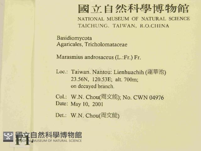 登錄號:F0014597藏品圖，第2張