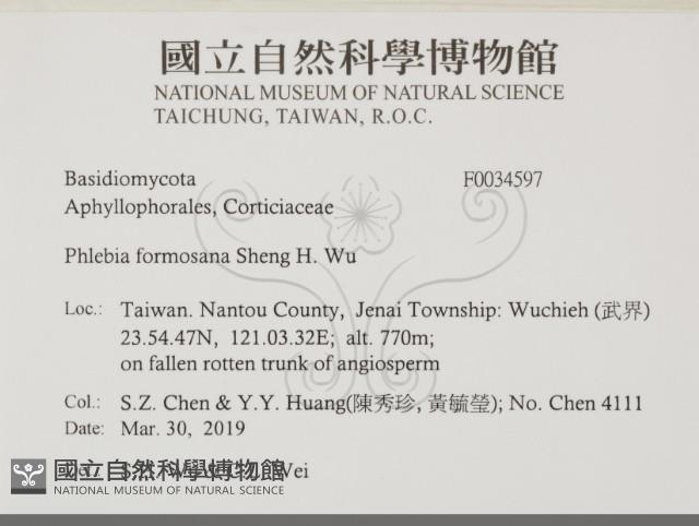 登錄號:F0034597藏品圖，第2張