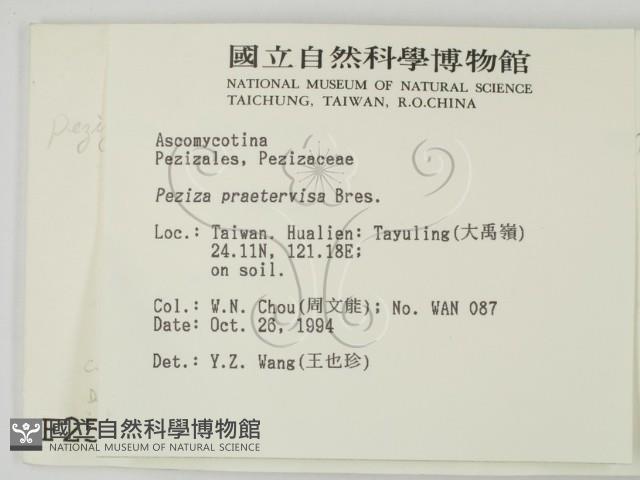 登錄號:F0002597藏品圖，第2張