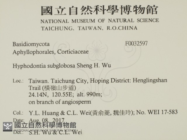 登錄號:F0032597藏品圖，第2張
