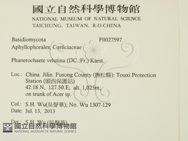 登錄號:F0027597藏品圖，第2張