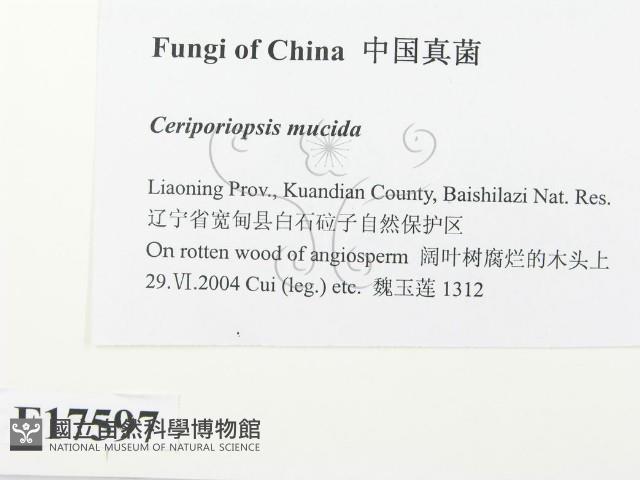 登錄號:F0017597藏品圖，第2張