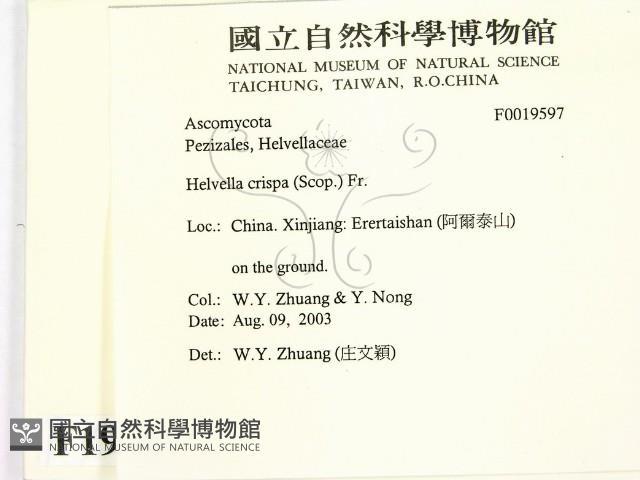 登錄號:F0019597藏品圖，第2張