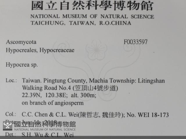 登錄號:F0033597藏品圖，第2張