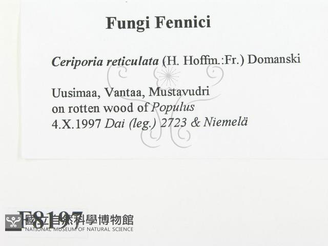 登錄號:F0008197藏品圖，第2張