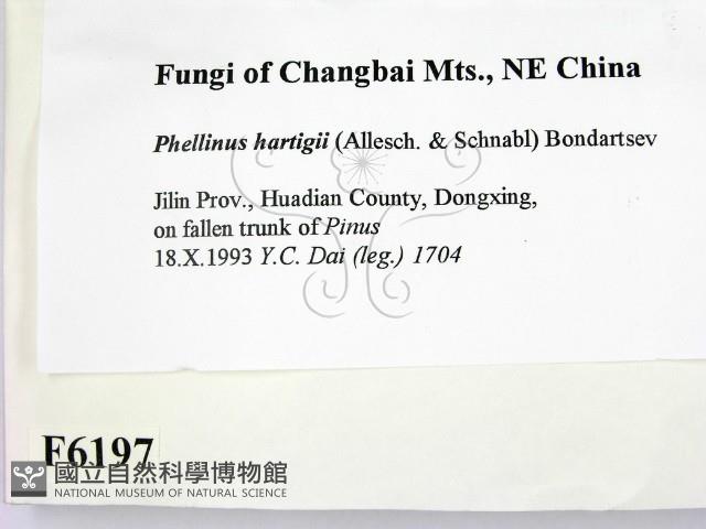 登錄號:F0006197藏品圖，第2張