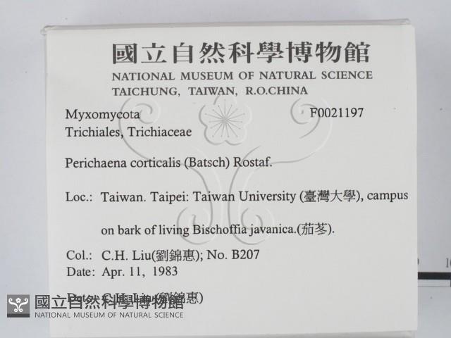 登錄號:F0021197藏品圖，第2張