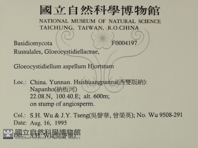 登錄號:F0004197藏品圖，第2張