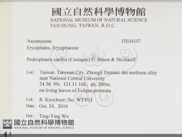 登錄號:F0034197藏品圖，第2張