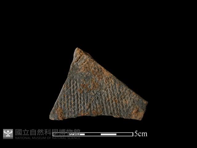 陶片藏品圖，第1張