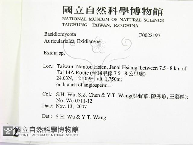 登錄號:F0022197藏品圖，第2張