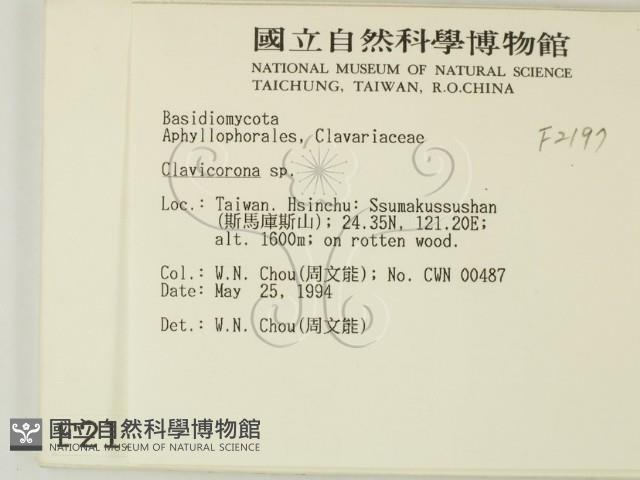 登錄號:F0002197藏品圖，第2張