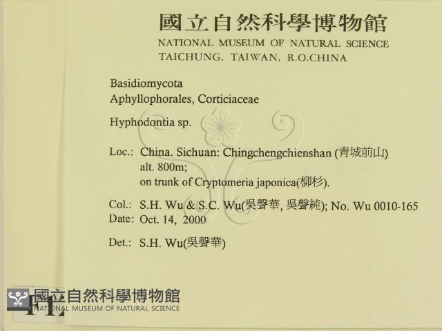 登錄號:F0012197藏品圖，第2張