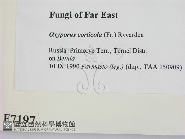 登錄號:F0007197藏品圖，第2張