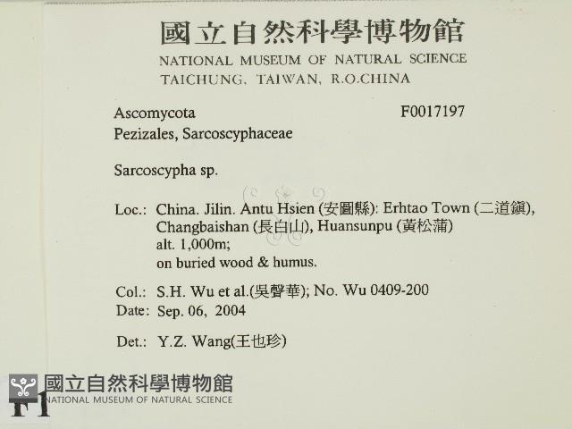 登錄號:F0017197藏品圖，第2張