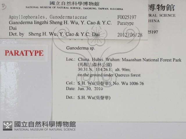 登錄號:F0025197藏品圖，第2張