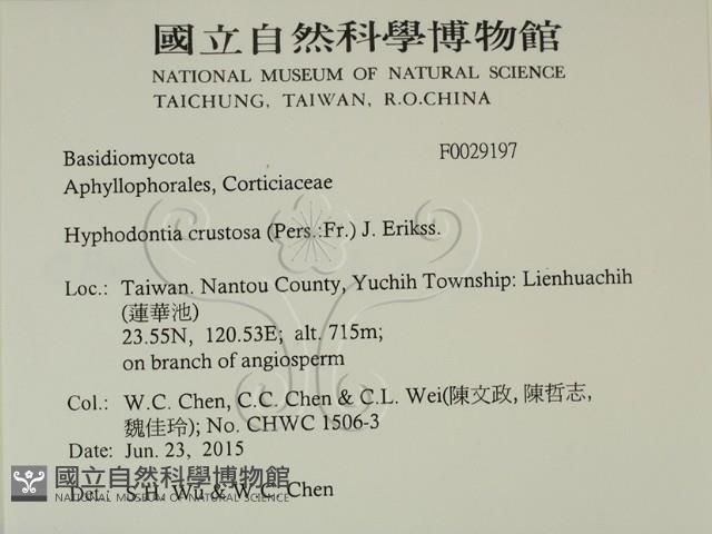 登錄號:F0029197藏品圖，第2張