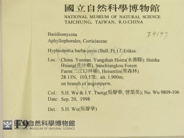 登錄號:F0009197藏品圖，第2張