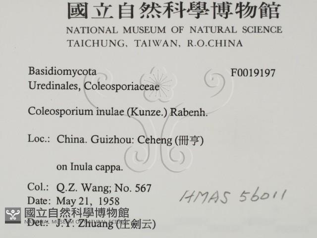 登錄號:F0019197藏品圖，第2張
