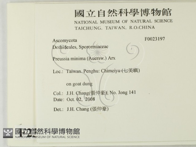 登錄號:F0023197藏品圖，第2張