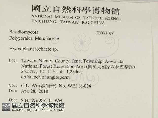 登錄號:F0033197藏品圖，第2張