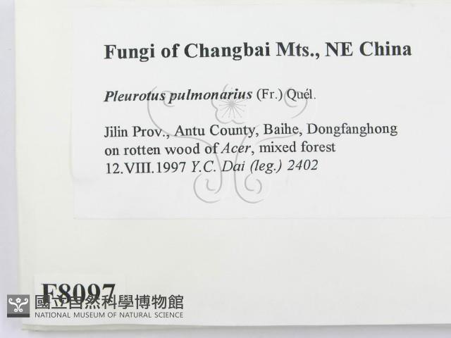 登錄號:F0008097藏品圖，第2張