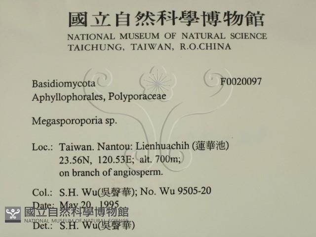 登錄號:F0020097藏品圖，第2張