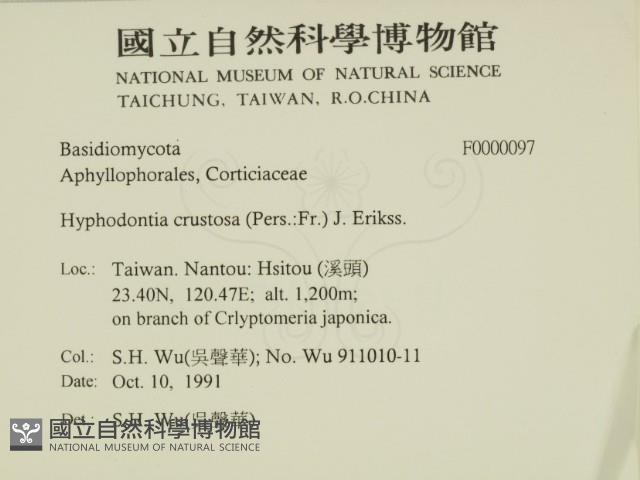 登錄號:F0000097藏品圖，第2張