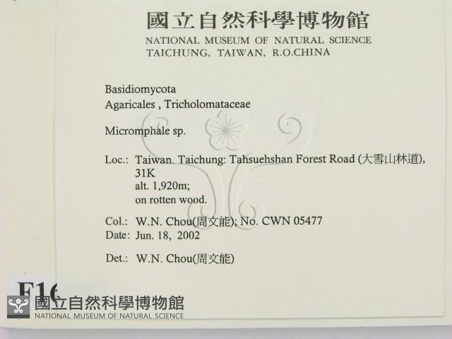 登錄號:F0016097藏品圖，第2張