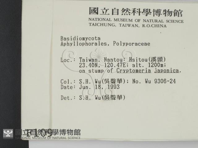 登錄號:F0001097藏品圖，第2張