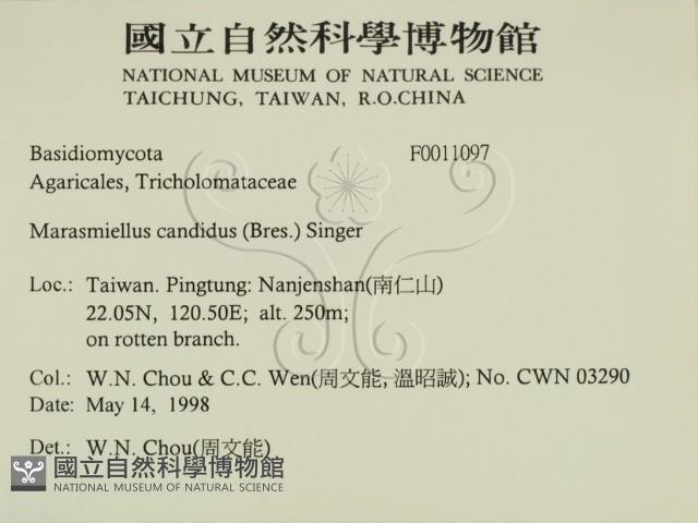 登錄號:F0011097藏品圖，第2張