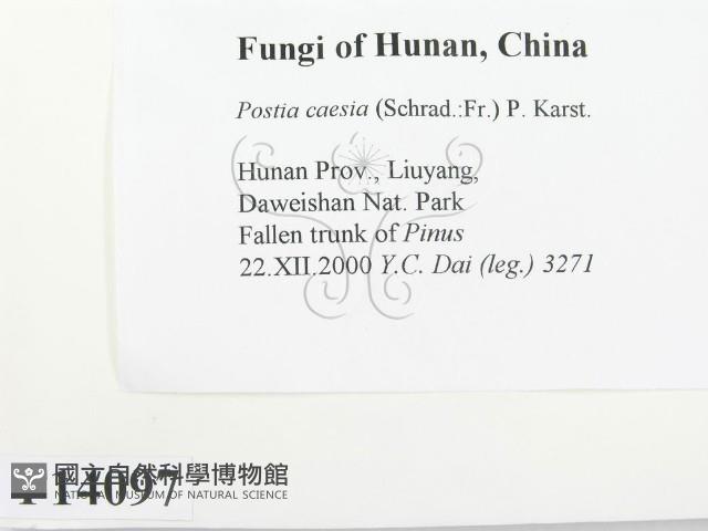 登錄號:F0014097藏品圖，第2張
