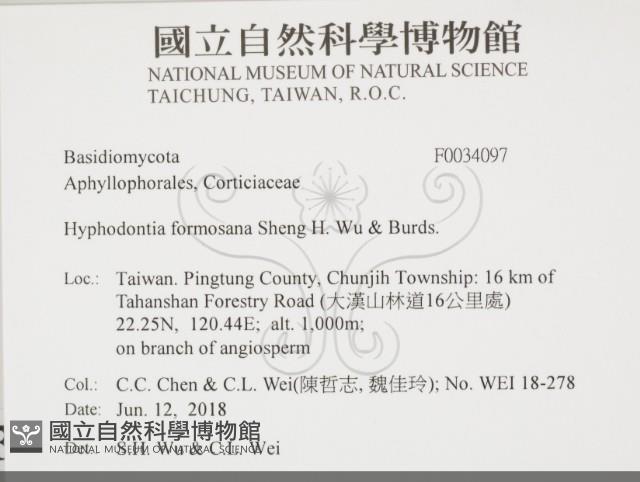登錄號:F0034097藏品圖，第2張