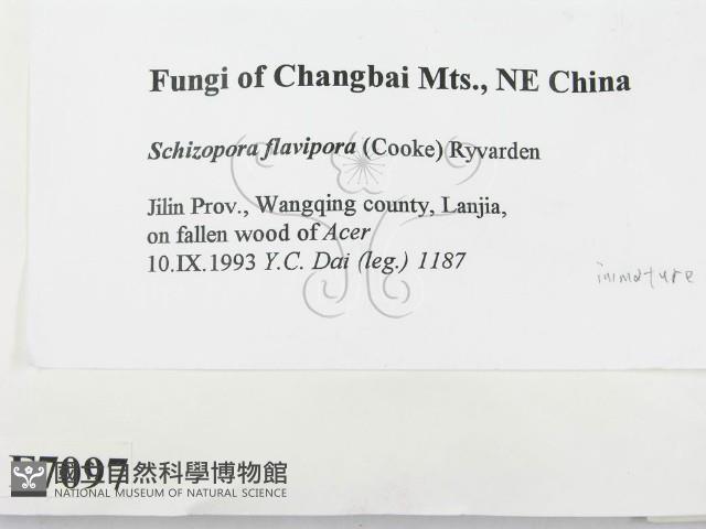 登錄號:F0007097藏品圖，第2張