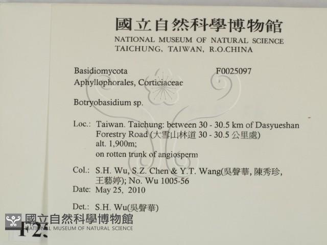 登錄號:F0025097藏品圖，第2張
