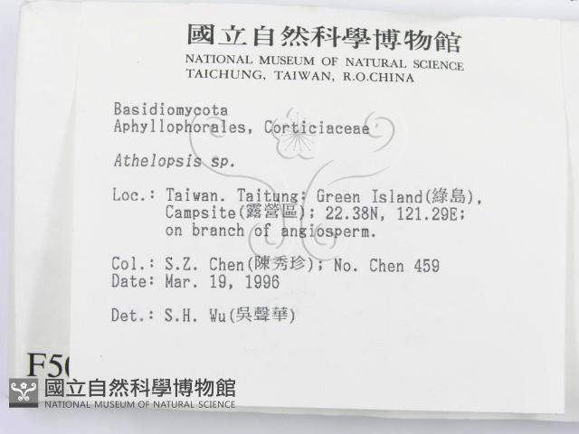 登錄號:F0005097藏品圖，第2張