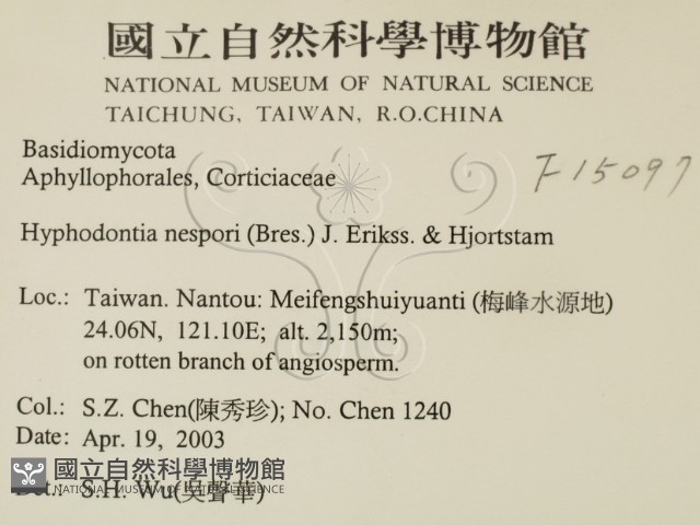 登錄號:F0015097藏品圖，第2張