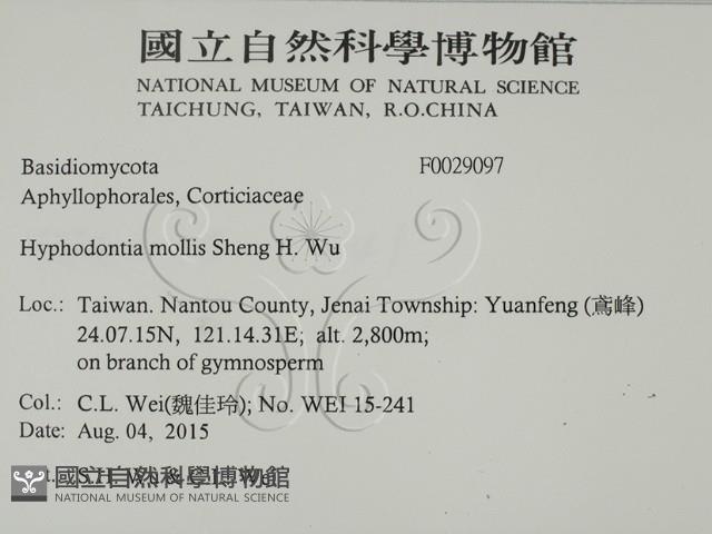 登錄號:F0029097藏品圖，第2張