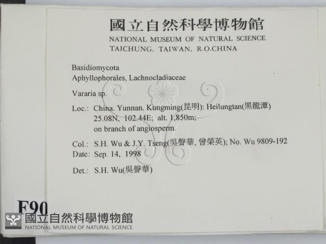 登錄號:F0009097藏品圖，第2張