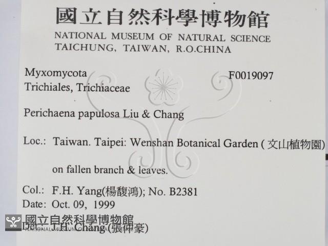 登錄號:F0019097藏品圖，第2張