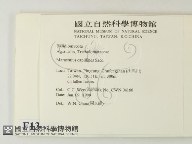 登錄號:F0013097藏品圖，第2張