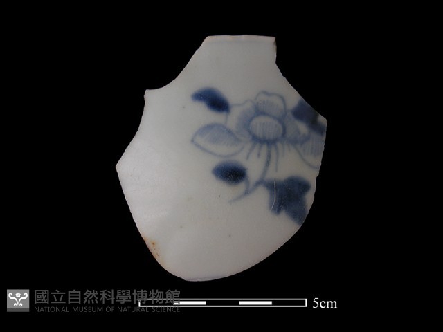 瓷片藏品圖，第1張