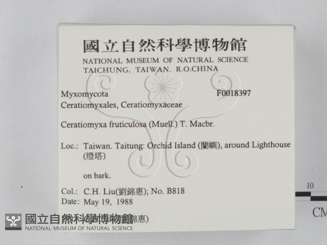 登錄號:F0018397藏品圖，第2張