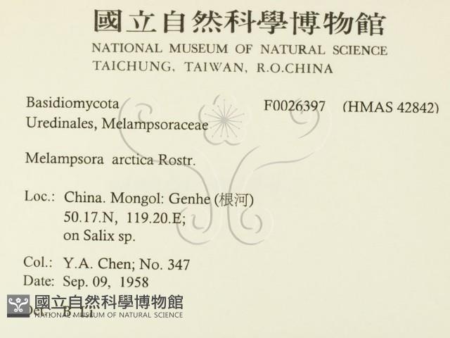 登錄號:F0026397藏品圖，第2張