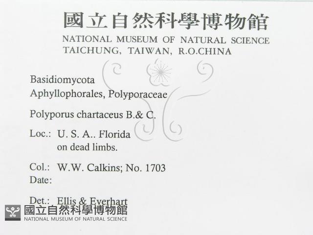 登錄號:F0011397藏品圖，第2張