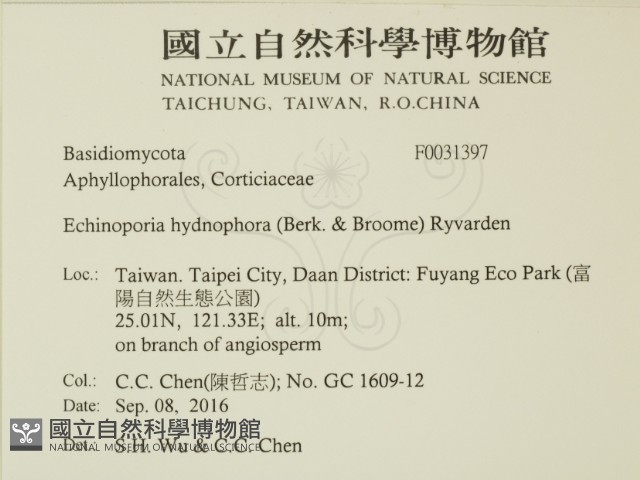 登錄號:F0031397藏品圖，第2張