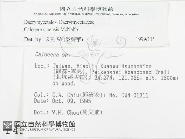 登錄號:F0004397藏品圖，第2張