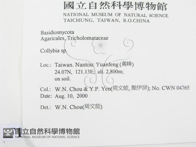 登錄號:F0014397藏品圖，第2張